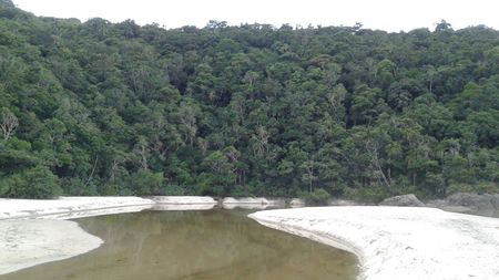 R308. Martim De Sá (4) R308. Martim De Sá (4)