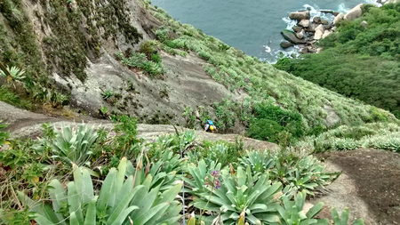 Unnamed (12) Unnamed (12)