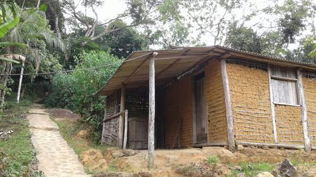 R518. Trilha Cairuçu Ponta Negra (4) R518. Trilha Cairuçu Ponta Negra (4)